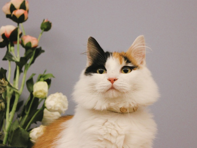 沐风影像社 作品封面