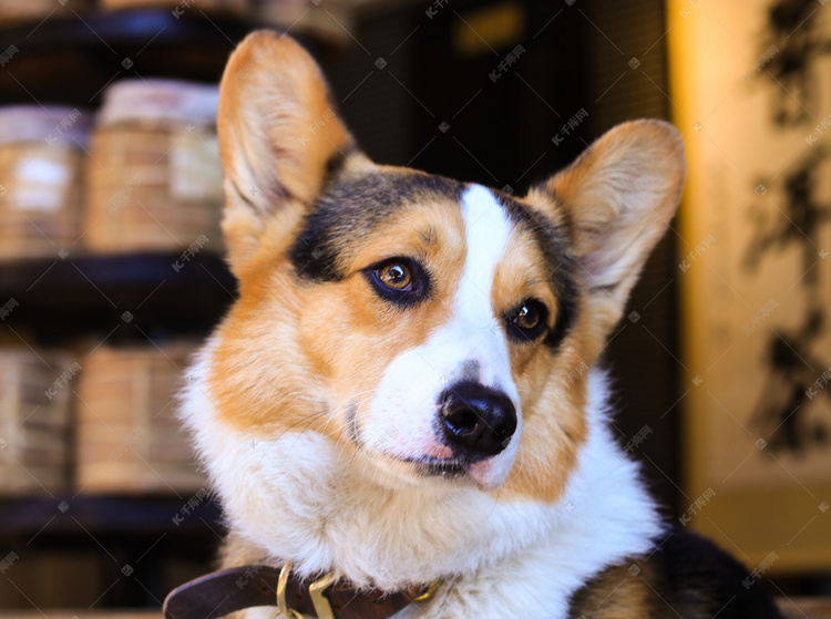 年度名场面 — 旅行切片 封面