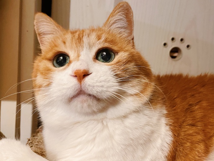 一镜到底 — 美食地图·特别篇 缩略图